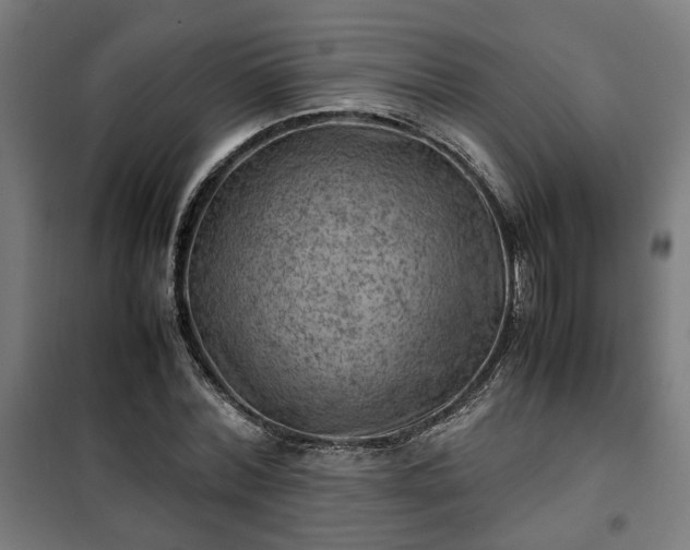 X0000102010780200807251308