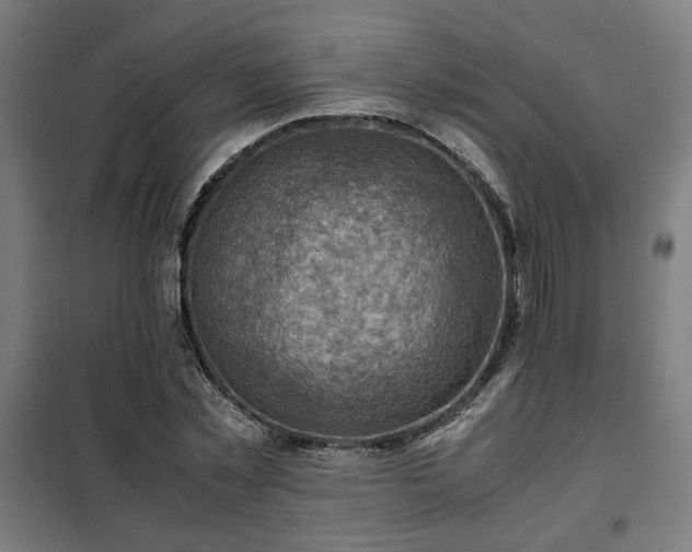 X0000102010781200807251308