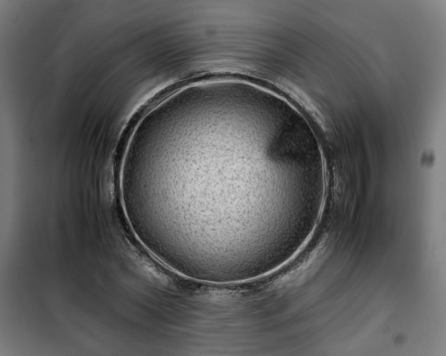 X0000102010782200807251308