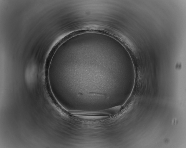 X0000102010784200807251308