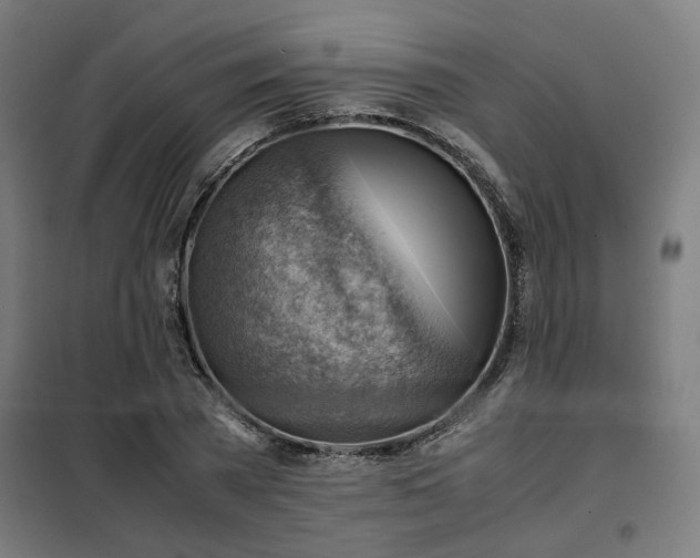 X0000102010785200807251308
