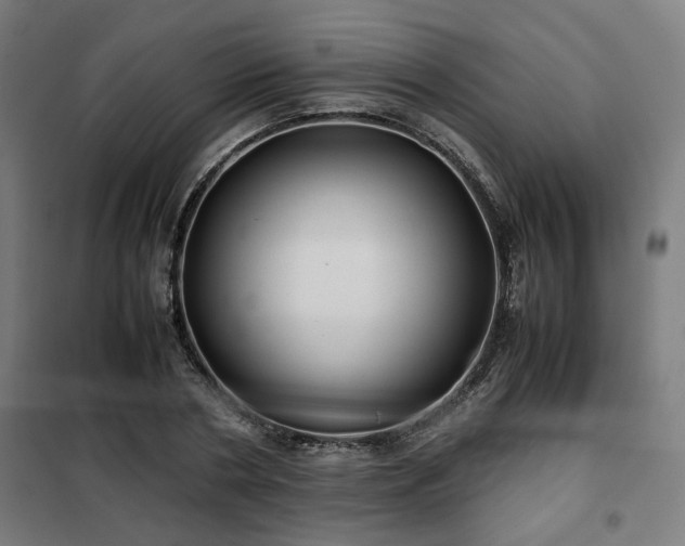 X0000102010786200807251307