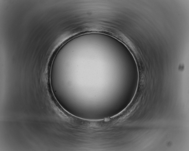 X0000102010787200807251307