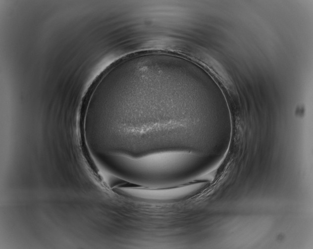 X0000102010788200807251307