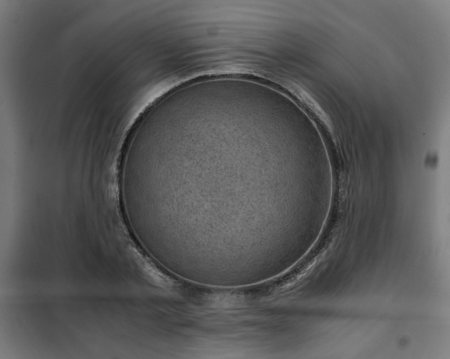 X0000102010789200807251307