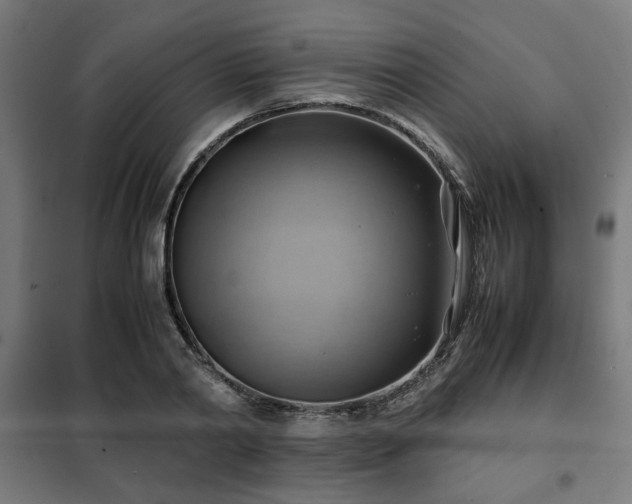 X0000102010790200807251307