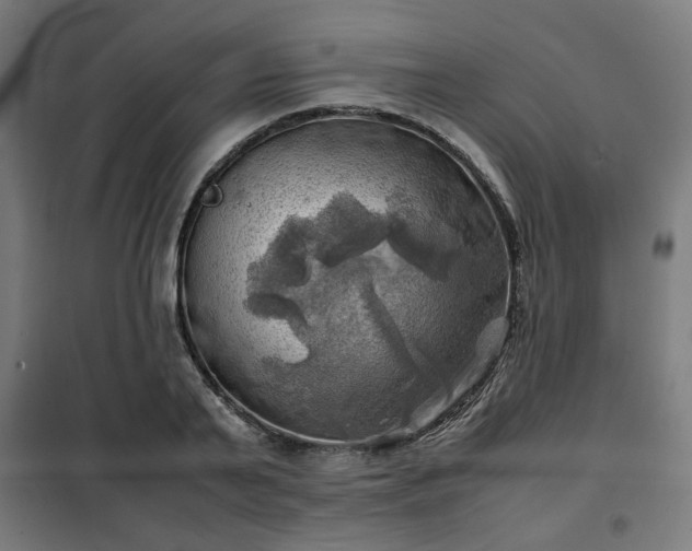 X0000102010791200807251307