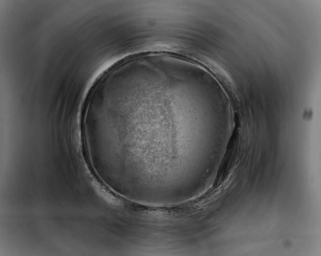 X0000102010792200807251307