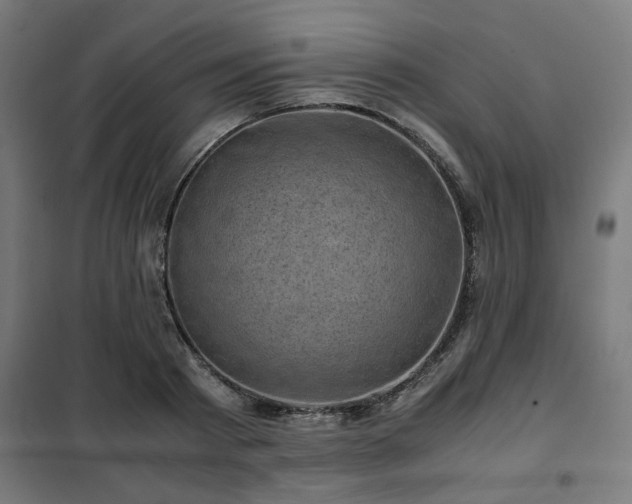 X0000102010793200807251307