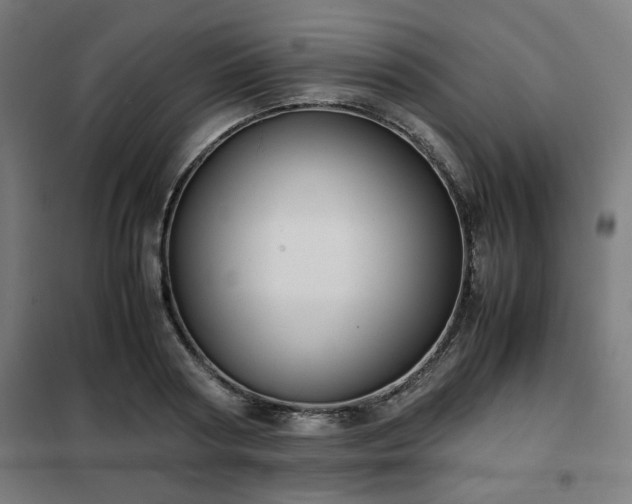 X0000102010794200807251307