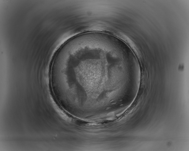 X0000102010795200807251307