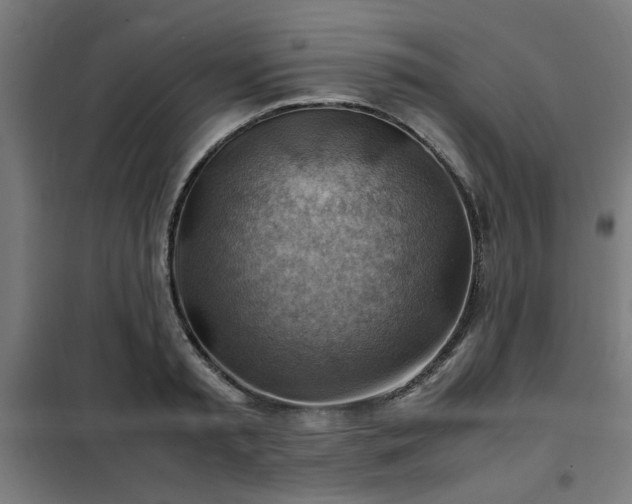 X0000102010797200807251307