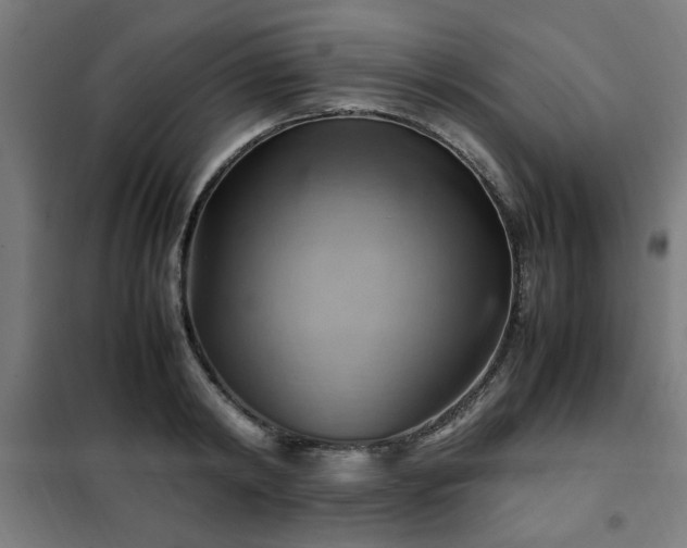 X0000102010798200807251307