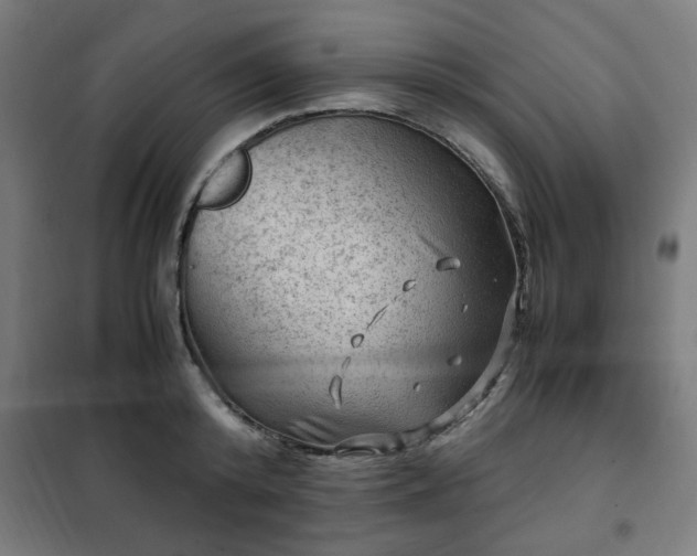 X0000102010800200807251307
