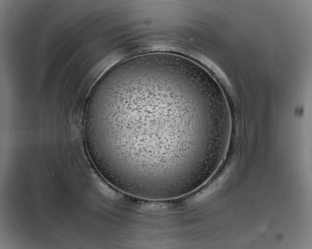 X0000102010801200807251307