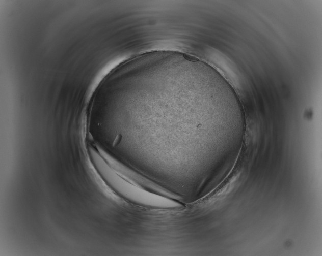 X0000102010804200807251307