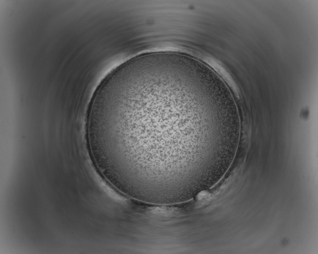 X0000102010805200807251307