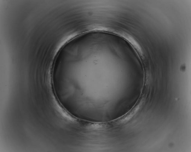 X0000102010806200807251307