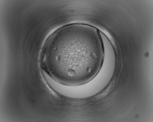 X0000102010807200807251307