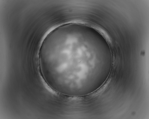 X0000102010808200807251307