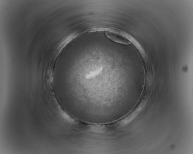 X0000102010809200807251307