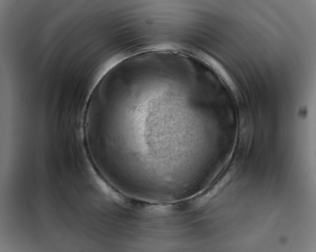 X0000102010810200807251307