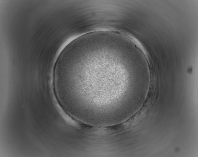 X0000102010811200807251307