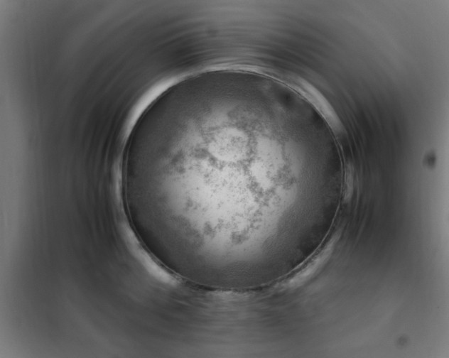 X0000102010812200807251307