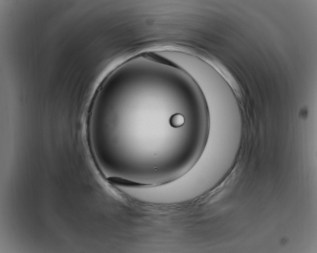 X0000102010813200807251307