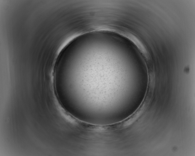 X0000102010814200807251307