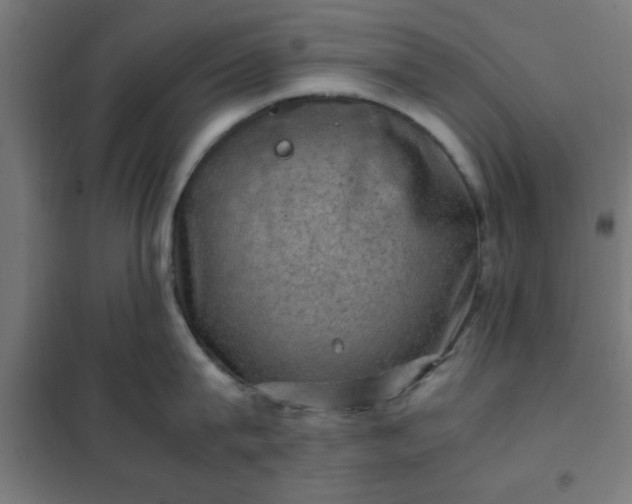X0000102010815200807251307