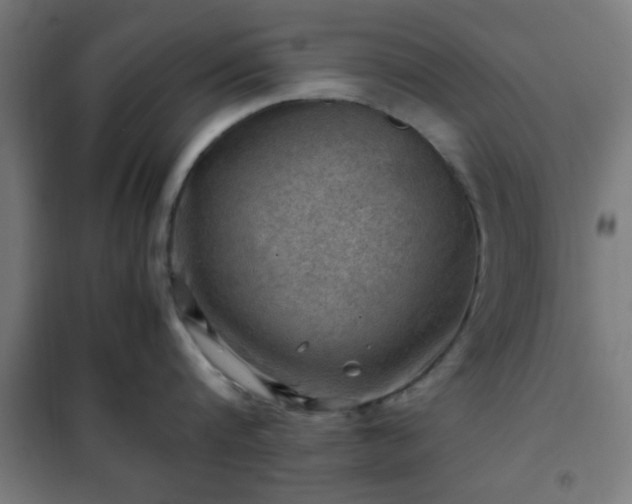 X0000102010816200807251307