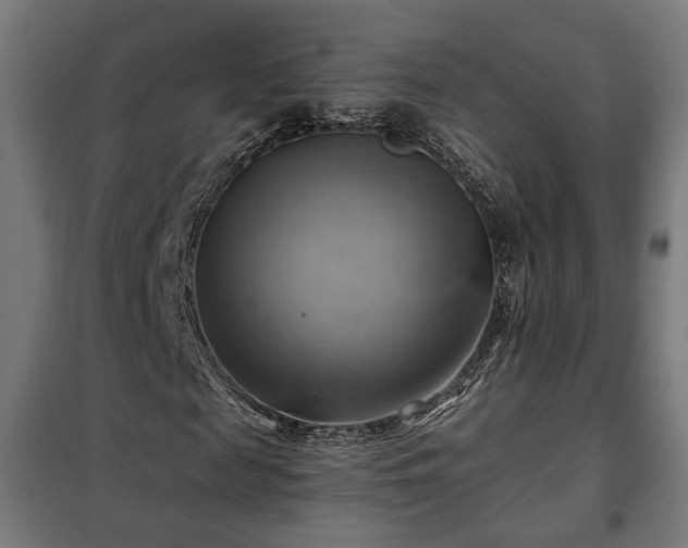 X0000102010817200807251306