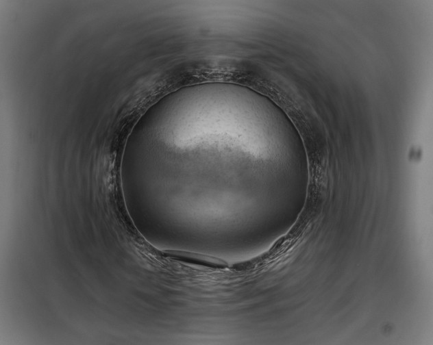 X0000102010818200807251306
