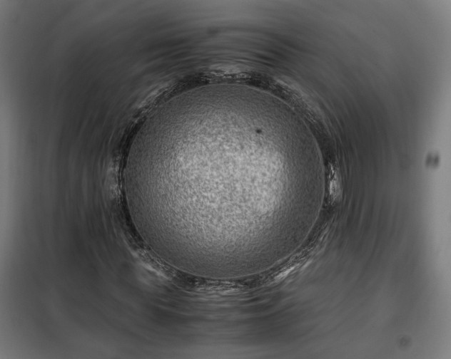 X0000102010819200807251306