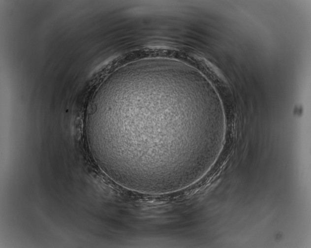 X0000102010821200807251306
