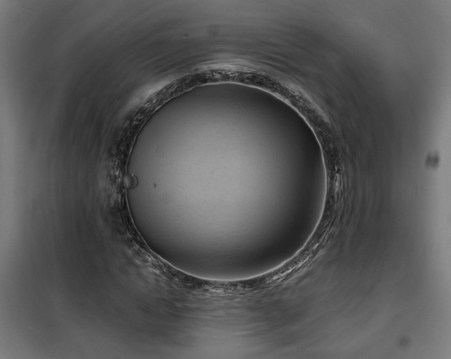 X0000102010822200807251306