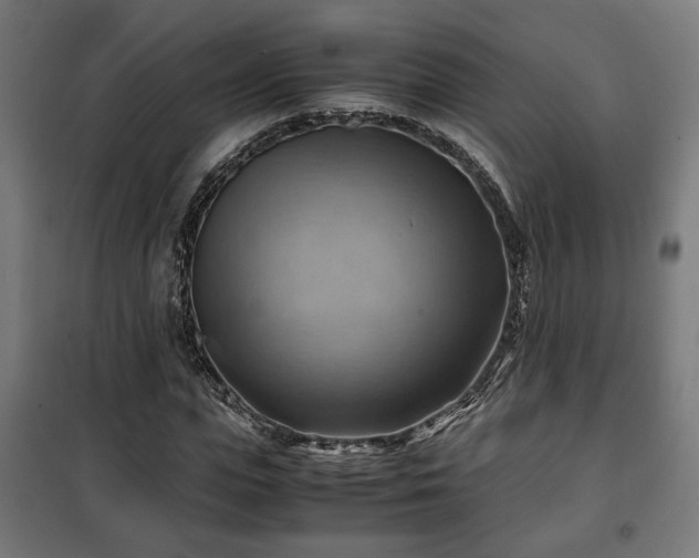 X0000102010823200807251306