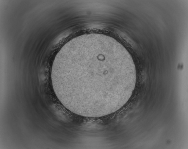 X0000102010824200807251306