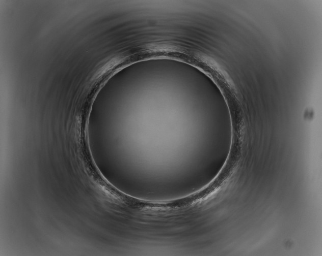 X0000102010825200807251306