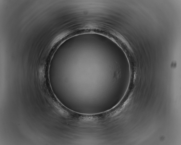 X0000102010826200807251306