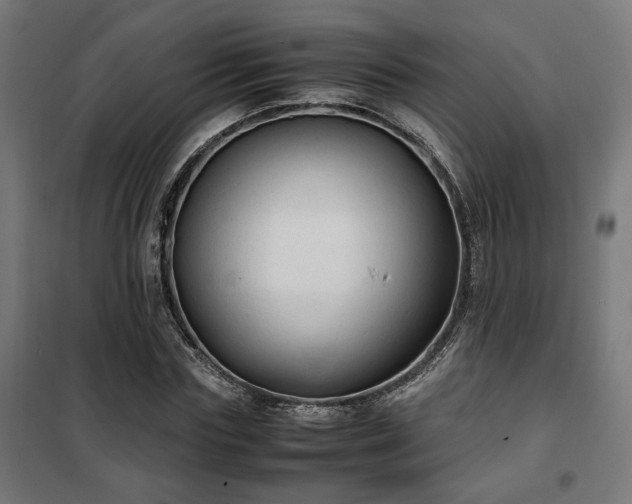 X0000102010827200807251306