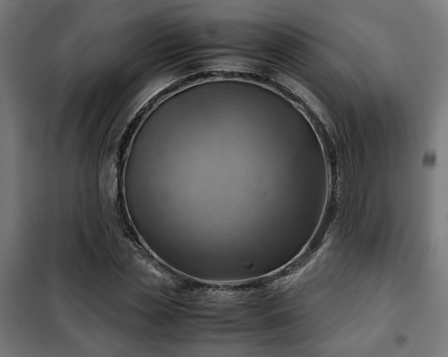 X0000102010829200807251306