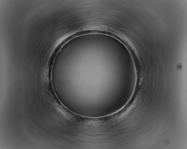 X0000102010830200807251306