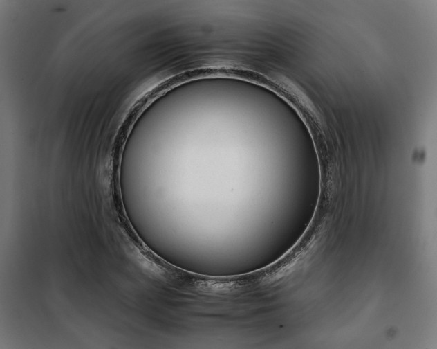 X0000102010831200807251306
