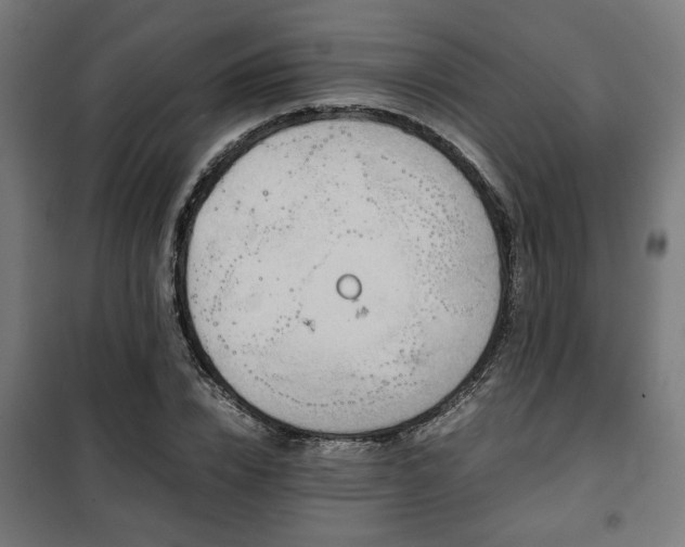 X0000102010832200807251306