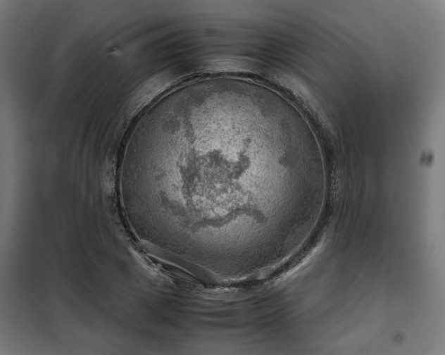 X0000102010833200807251306