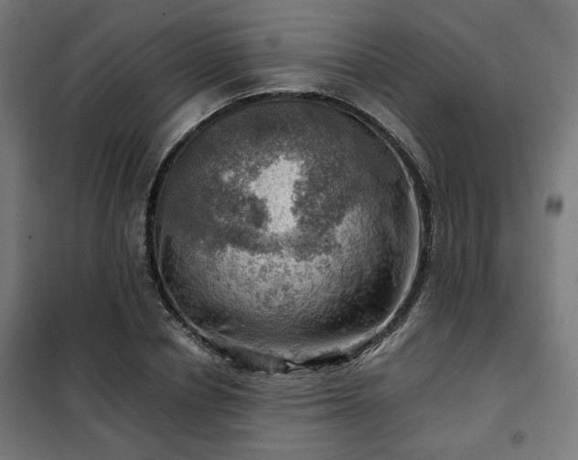 X0000102010834200807251306