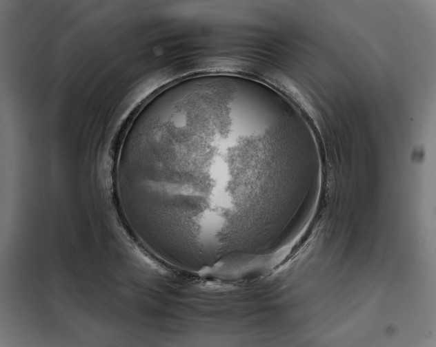 X0000102010835200807251307