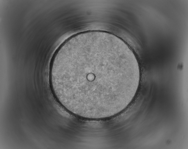 X0000102010836200807251307